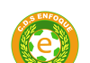 Enfoque se alista para su participación en 3ªB Enfoque